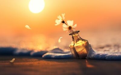 NESSUN’ALBA