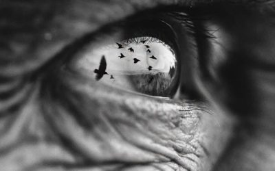 DOVE COMINCIA IL CIELO